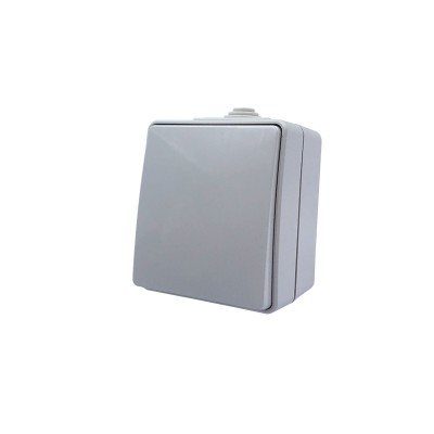 ARMY ΜΠΟΥΤΟΝ ΑΠΛΟ ΕΠΙΤΟΙΧΟ ΣΤΕΓΑΝΟ ΜΕ ΒΙΔΑ 1P 10A 250VAC IP55 ΑΠΑΛΟ ΓΚΡΙ