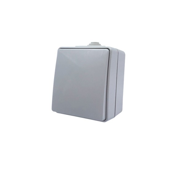 ARMY ΜΠΟΥΤΟΝ ΑΠΛΟ ΕΠΙΤΟΙΧΟ ΣΤΕΓΑΝΟ ΜΕ ΒΙΔΑ 1P 10A 250VAC IP55 ΑΠΑΛΟ ΓΚΡΙ