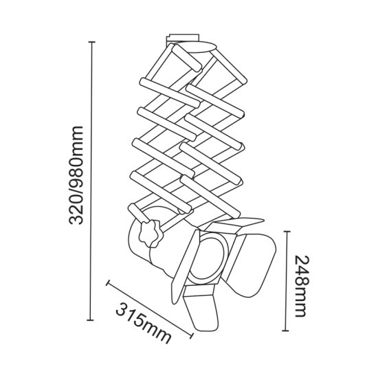 ^TRACK LIGHT No243 BLACK 4WIRE PAR30 E27