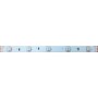 ΤΑΙΝΙΑ LED 5M 7.2W/M 24V DC IP20 RGB 10mm