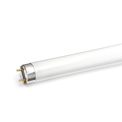 T8 ΦΘΟΡΙΟΥ 58W 4000K 4200Lm 1500mm Ra75 8000hrs G13 DIOLAMP T8 ΦΘΟΡΙΟΥ 58W 4000K 4200Lm 1500mm Ra75 8000hrs G13 DIOLAMP