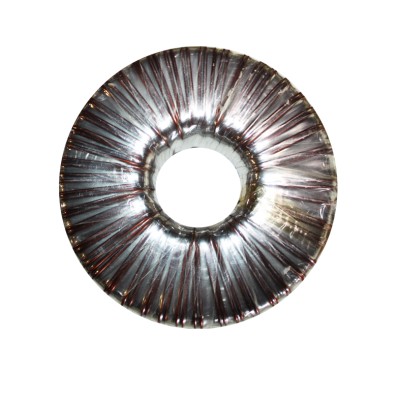 ΤΟΡΟΕΙΔΗΣ ΜΕΤΑΣΧΗΜΑΤΙΣΤΗΣ 12V AC 200W