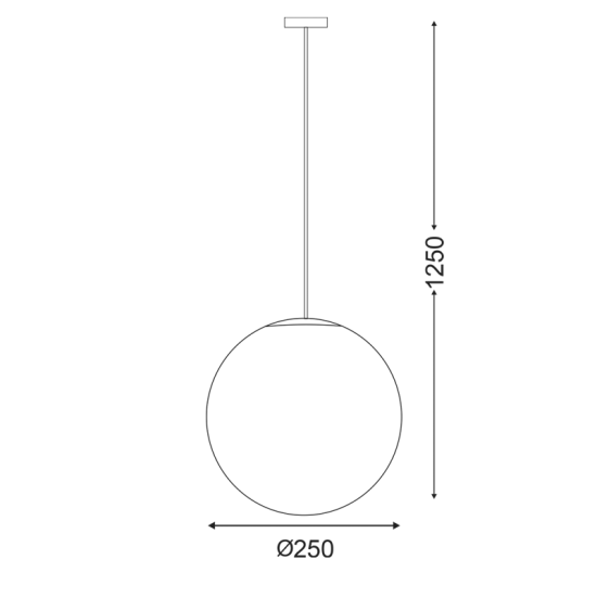 HANG LIGHT PMM Φ250 PMM CLEAR                        