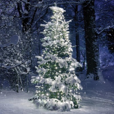 350LED ΧΤΑΠΟΔΙ ΛΑΜΠ 10 ΣΕΙΡΕΣ x 35 ΛΑΜΠ ΠΟΛΥΧΡΩΜΑ ΑΝΤΑΠΤ (31VDC) IP44 3m ΠΡΑΣ ΚΑΛΩΔ 350LED ΧΤΑΠΟΔΙ ΛΑΜΠ 10 ΣΕΙΡΕΣ x 35 ΛΑΜΠ ΠΟΛΥΧΡΩΜΑ ΑΝΤΑΠΤ (31VDC) IP44 3m ΠΡΑΣ ΚΑΛΩΔ