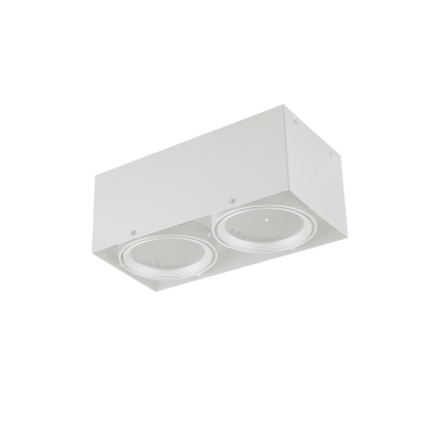 ΛΕΥΚΟ DOWN LIGHT ΕΞΩΤΕΡΙΚΟ ΔΙΠΛΟ AR111  ΛΕΥΚΟ DOWN LIGHT ΕΞΩΤΕΡΙΚΟ ΔΙΠΛΟ AR111
