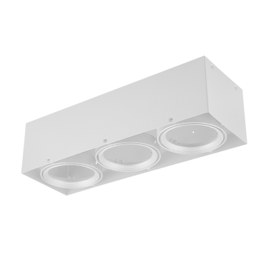 ΛΕΥΚΟ DOWN LIGHT ΕΞΩΤΕΡΙΚΟ ΤΡΙΠΛΟ AR111  ΛΕΥΚΟ DOWN LIGHT ΕΞΩΤΕΡΙΚΟ ΤΡΙΠΛΟ AR111