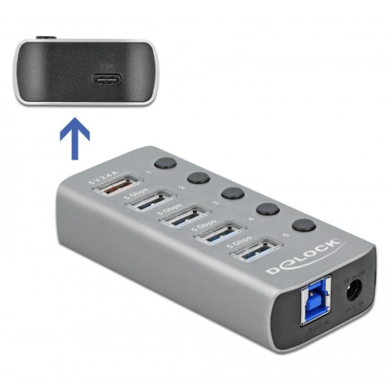 DELOCK USB hub με διακόπτες 63263, 5x USB & USB-C PD, 5Gbps, 2.4A, γκρι