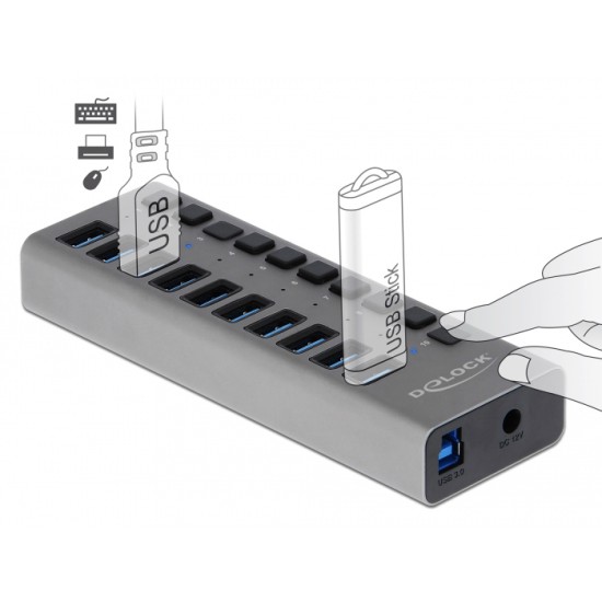 DELOCK USB hub με διακόπτες 63670, 10x USB, 5Gbps, LED, γκρι