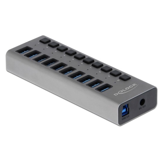 DELOCK USB hub με διακόπτες 63670, 10x USB, 5Gbps, LED, γκρι