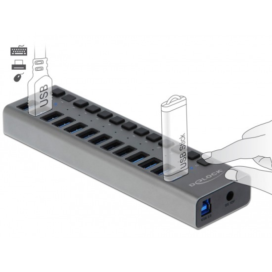 DELOCK USB hub με διακόπτες 63738, 13x USB, 5Gbps, LED, γκρι