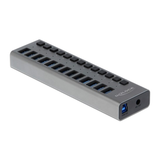 DELOCK USB hub με διακόπτες 63738, 13x USB, 5Gbps, LED, γκρι