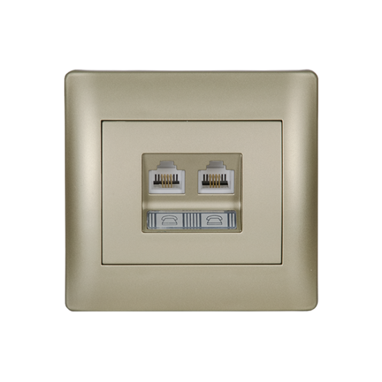 RHYME COMPUTER SOCKET (DOUBLE) CHAMPAGNE METALLIC