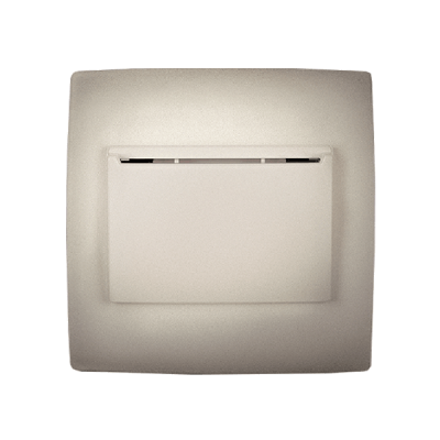CITY KEY POWER SWITCH CHAMPAGNE METALLIC CITY KEY POWER SWITCH CHAMPAGNE METALLIC