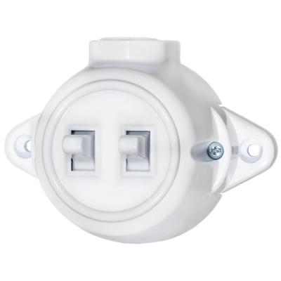 ANTIQUE TWO BUTTON ONE WAY SWITCH 10А 250V WHITE ANTIQUE TWO BUTTON ONE WAY SWITCH 10А 250V WHITE