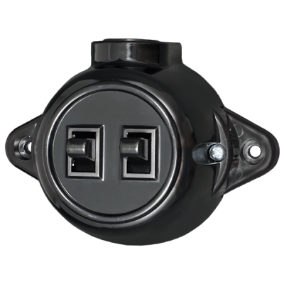ANTIQUE TWO BUTTON ONE WAY SWITCH 10А 250V BLACK ANTIQUE TWO BUTTON ONE WAY SWITCH 10А 250V BLACK