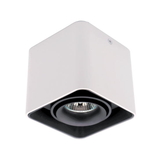 DL-044 SQUARE SINGLE DOWNLIGHT SURFACE BLACK/WHITE