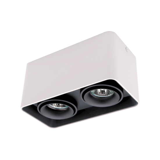 DL-044 SQUARE DOUBLE DOWNLIGHT SURFACE BLACK/WHITE