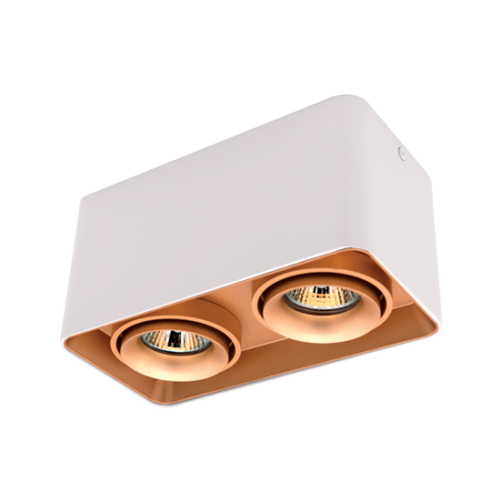 DL-044 SQUARE DOUBLE DOWNLIGHT SURFACE GOLD/WHITE