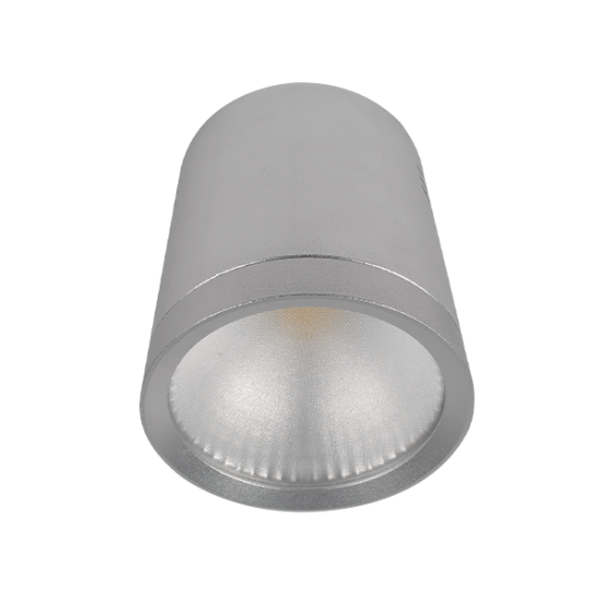 RDLOMCOB LED DOWNLIGHT 20W 2700K 60° SILVER 