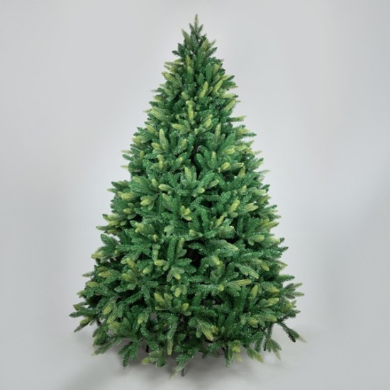 ΔΕΝΤΡΟ ΕΛΑΤΟ, ΠΟΡΤΟΓΑΛΙΑ, 220cm ΔΕΝΤΡΟ ΕΛΑΤΟ, ΠΟΡΤΟΓΑΛΙΑ, 220cm