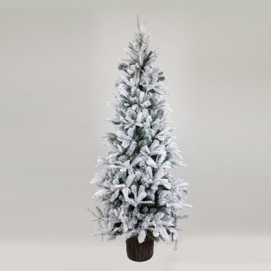 ΔΕΝΤΡΟ ΕΛΑΤΟ ΧΙΟΝΙΣΜΕΝΟ, ΕΛΒΕΤΙΑ, ΜΕ ΞΥΛΙΝΟ ΚΟΡΜΟ ΣΤΗ ΒΑΣΗ, 180cm ΔΕΝΤΡΟ ΕΛΑΤΟ ΧΙΟΝΙΣΜΕΝΟ, ΕΛΒΕΤΙΑ, ΜΕ ΞΥΛΙΝΟ ΚΟΡΜΟ ΣΤΗ ΒΑΣΗ, 180cm