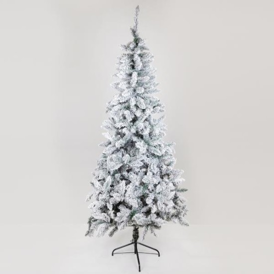 ΔΕΝΤΡΟ ΕΛΑΤΟ ΧΙΟΝΙΣΜΕΝΟ, ΣΚΩΤΙΑ, 240cm ΔΕΝΤΡΟ ΕΛΑΤΟ ΧΙΟΝΙΣΜΕΝΟ, ΣΚΩΤΙΑ, 240cm