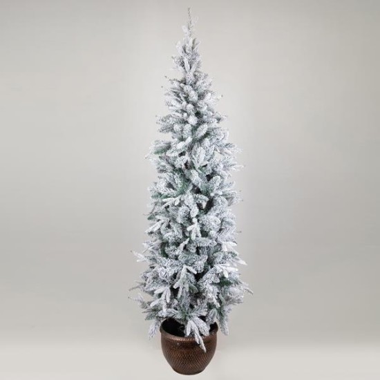 ΔΕΝΤΡΟ ΕΛΑΤΟ ΧΙΟΝΙΣΜΕΝΟ, ΣΤΟΚΧΟΛΜΗ, ΜΕ ΓΛΑΣΤΡΑΚΙ, 240cm ΔΕΝΤΡΟ ΕΛΑΤΟ ΧΙΟΝΙΣΜΕΝΟ, ΣΤΟΚΧΟΛΜΗ, ΜΕ ΓΛΑΣΤΡΑΚΙ, 240cm