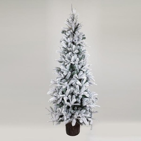 ΔΕΝΤΡΟ ΕΛΑΤΟ ΧΙΟΝΙΣΜΕΝΟ, ΕΛΒΕΤΙΑ, ΜΕ ΞΥΛΙΝΟ ΚΟΡΜΟ ΣΤΗ ΒΑΣΗ, 210cm ΔΕΝΤΡΟ ΕΛΑΤΟ ΧΙΟΝΙΣΜΕΝΟ, ΕΛΒΕΤΙΑ, ΜΕ ΞΥΛΙΝΟ ΚΟΡΜΟ ΣΤΗ ΒΑΣΗ, 210cm