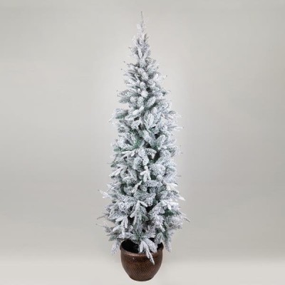 ΔΕΝΤΡΟ ΕΛΑΤΟ ΧΙΟΝΙΣΜΕΝΟ, ΣΤΟΚΧΟΛΜΗ, ΜΕ ΓΛΑΣΤΡΑΚΙ, 180cm