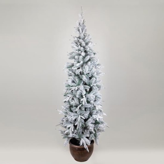 ΔΕΝΤΡΟ ΕΛΑΤΟ ΧΙΟΝΙΣΜΕΝΟ, ΣΤΟΚΧΟΛΜΗ, ΜΕ ΓΛΑΣΤΡΑΚΙ, 180cm ΔΕΝΤΡΟ ΕΛΑΤΟ ΧΙΟΝΙΣΜΕΝΟ, ΣΤΟΚΧΟΛΜΗ, ΜΕ ΓΛΑΣΤΡΑΚΙ, 180cm