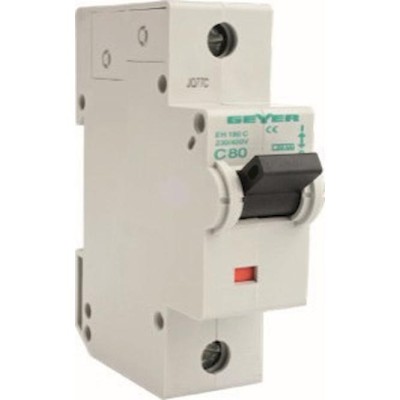 Ασφ. βιομηx. τύπου 1P 100A C Ασφ. βιομηx. τύπου 1P 100A C