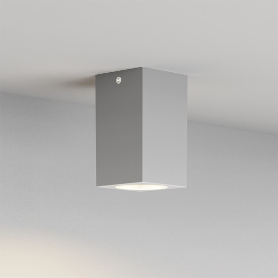 Cowart Φωτιστικό Οροφής Γκρί  και λαμπτήρα GU10 D:12x7cm, IP44