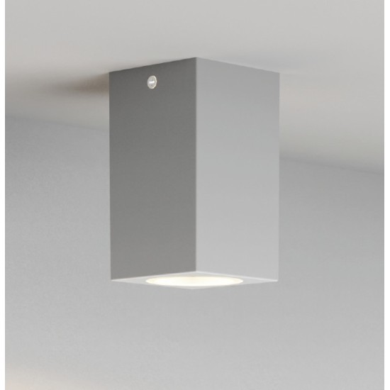 Cowart Φωτιστικό Οροφής Γκρί  και λαμπτήρα GU10 D:12x7cm, IP44