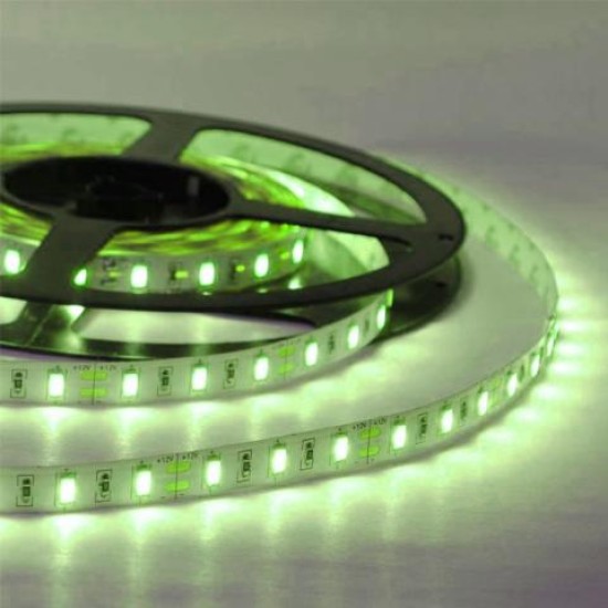 ΛΕΝΤΟΤΑΙΝΙΑ 12V 60LED/METΡΟ ΠΡΑΣΙΝΟ ΙΡ68