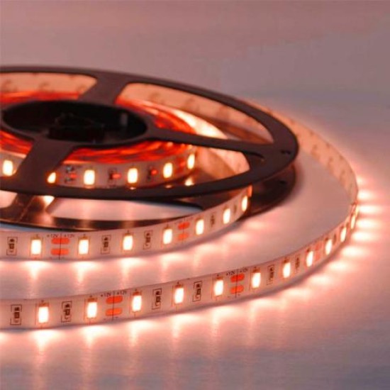 ΛΕΝΤΟΤΑΙΝΙΑ 12V 60LED/METΡΟ ΚΟΚΚΙΝΟ IP68